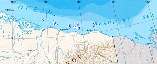 Shell DASAR layout